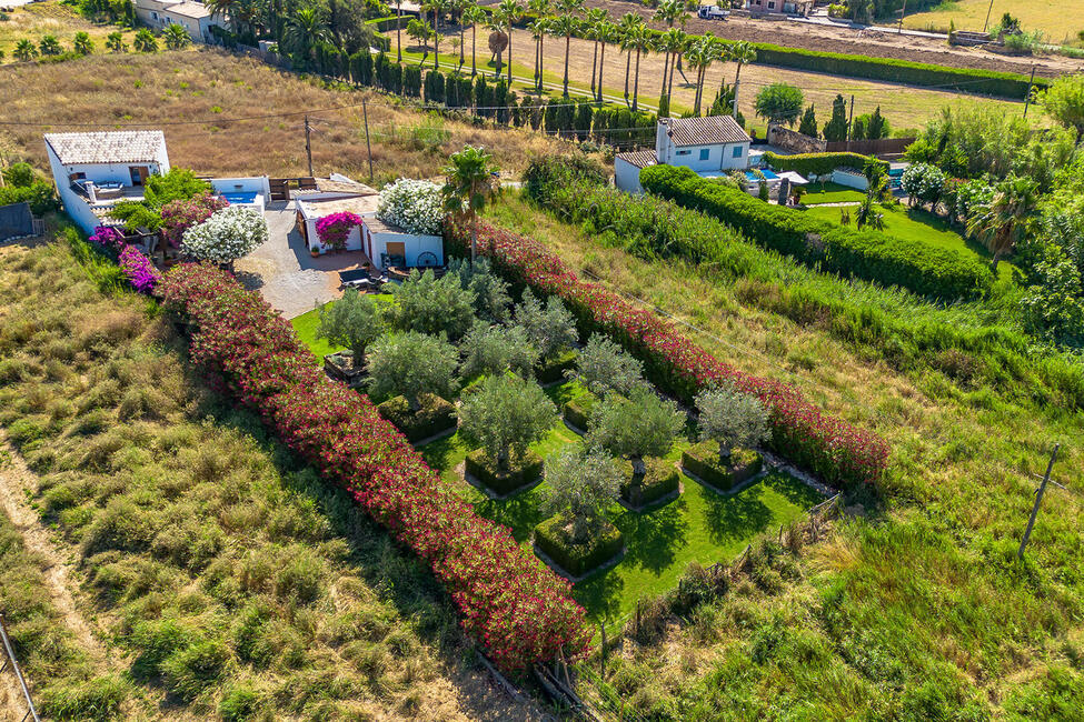 Charmante Finca, wenige Schritte von Port Andratx