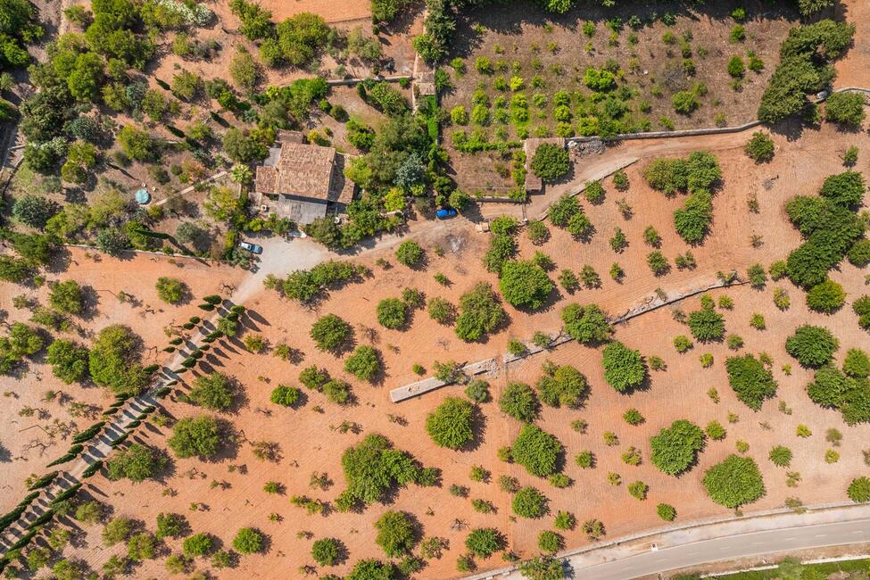 Renovierungsbedürftige Finca mit 9.6 ha Land in ruhiger Lage bei Alaro