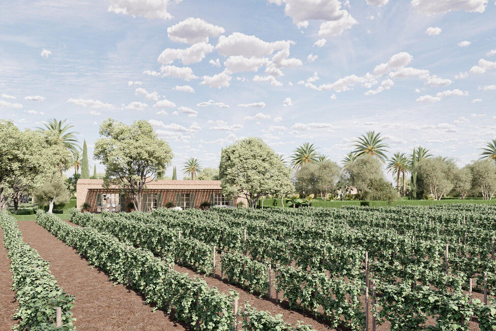 Luxuriöse Neubau-Finca mit Pool, in Strandnähe in Sa Rápita