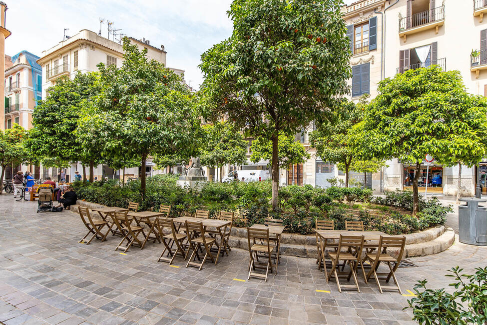 Elegante ático en el casco antiguo con terraza en la azotea y garaje en Palma