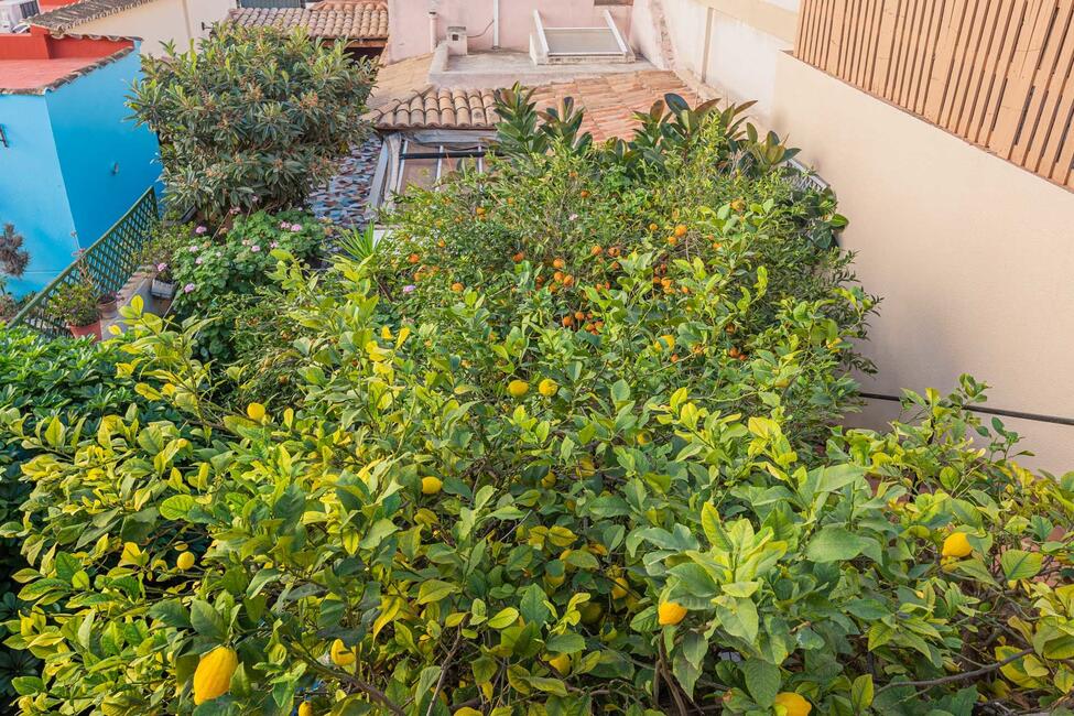 Traditionelles Stadthaus in Meeresnähe mit Garten in El Molinar