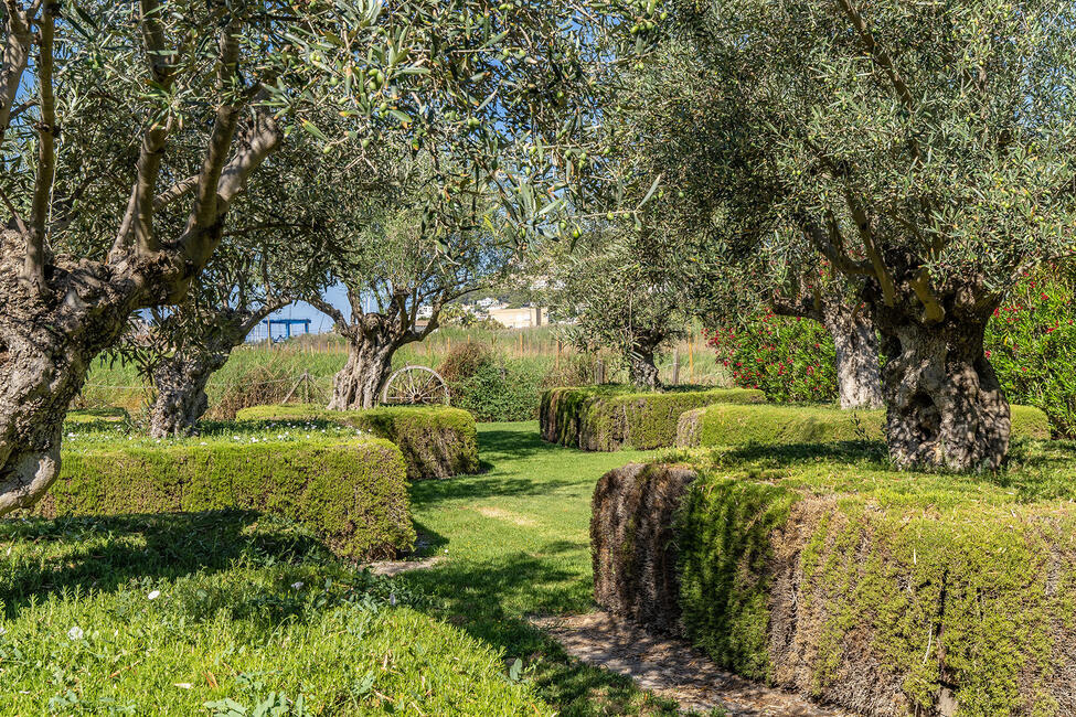 Charmante Finca, wenige Schritte von Port Andratx