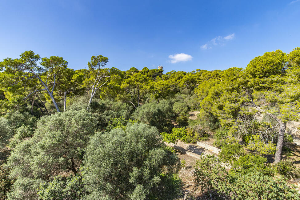 Casa señorial reformada con vistas al mar y piscina a los pies del Castillo de Bellver en Palma