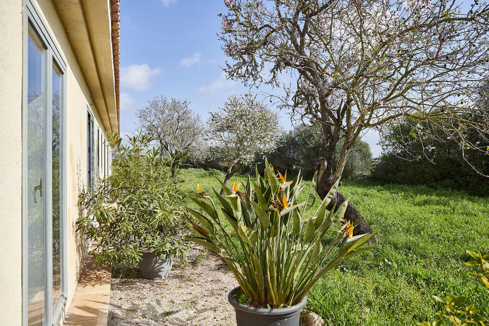 Fabelhafte, von Natur umgebene Finca mit Pool in Campos
