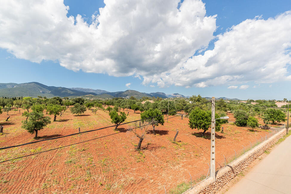 Renovated finca with salt water pool in Santa Maria del Cami