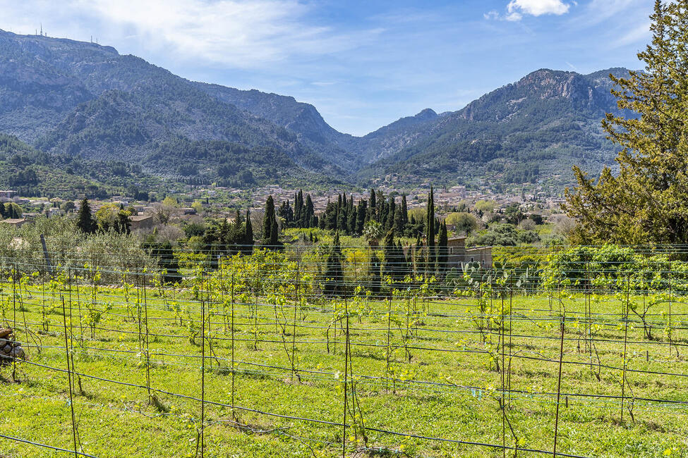 Charming finca with guest house and mountain views near Sóller