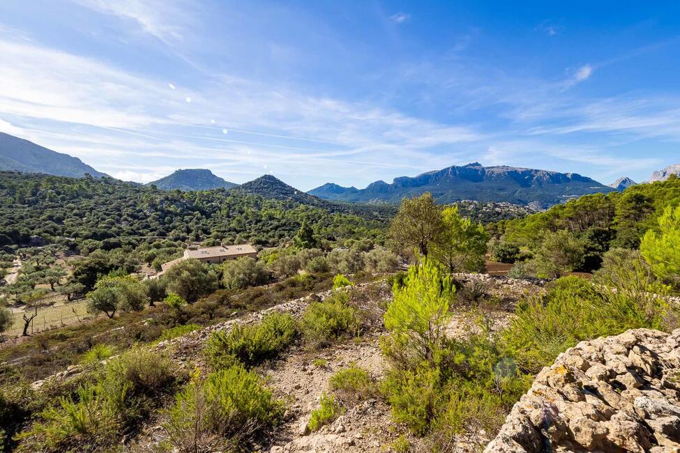 Renovierungsbedürftige Finca mit 710.000 m2 Grundstück in Escorca