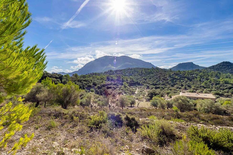 Renovierungsbedürftige Finca mit 710.000 m2 Grundstück in Escorca