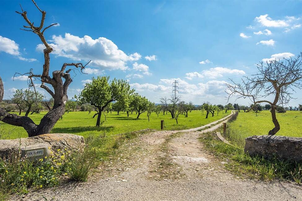 Attraktive rustikale Finca zum Renovieren in Puntiró