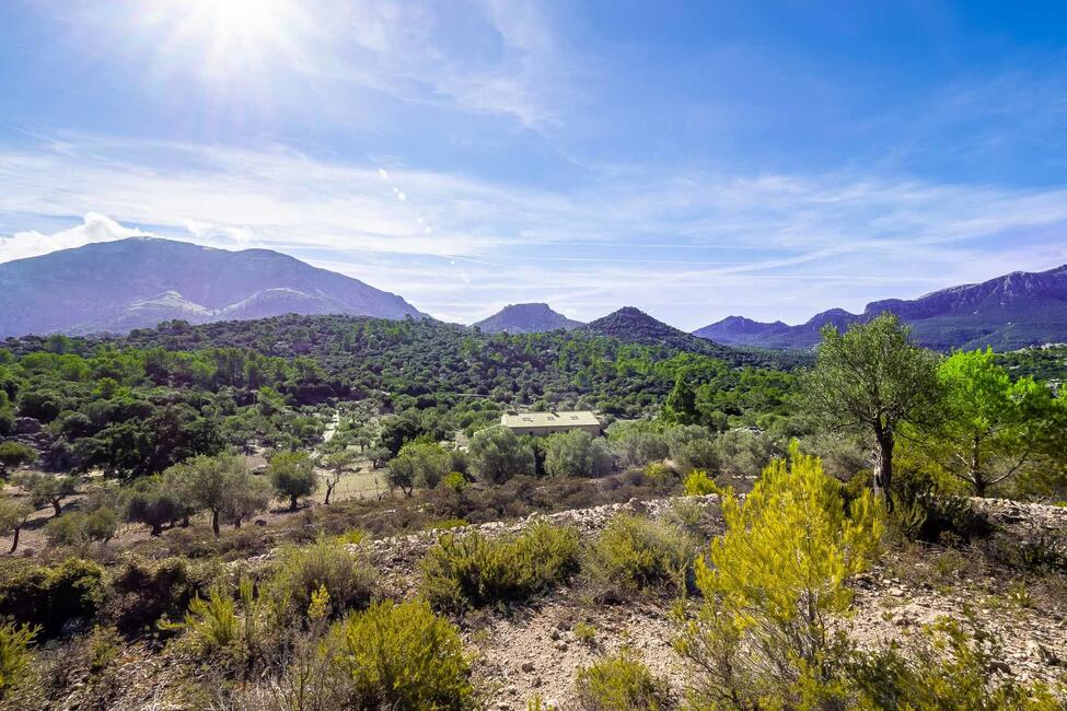 Renovierungsbedürftige Finca mit 710.000 m2 Grundstück in Escorca