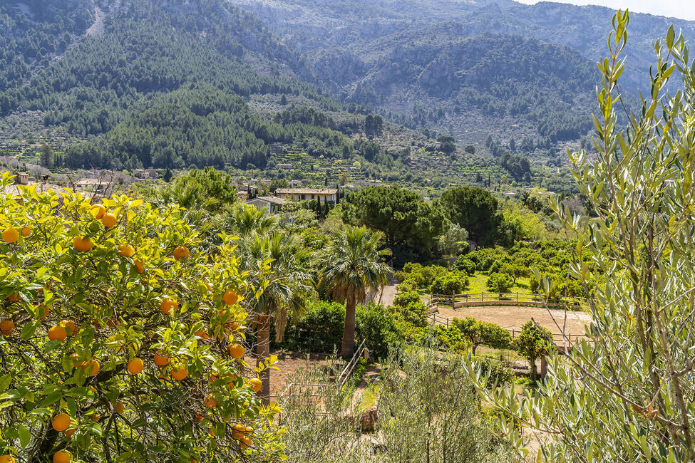 Charming finca with guest house and mountain views near Sóller