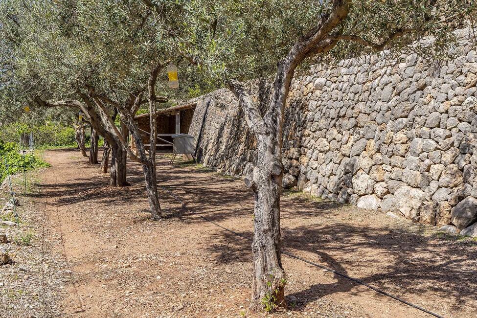 Charming finca with guest house and mountain views near Sóller