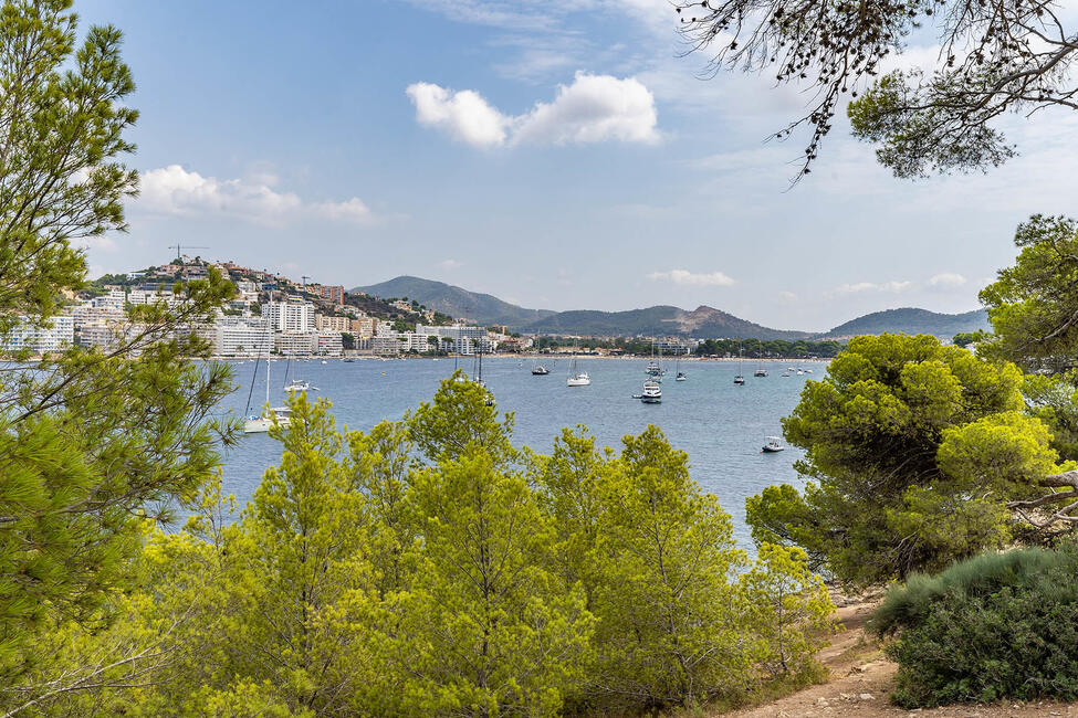 Attraktives Apartment mit Gemeinschaftspool in 1. Meereslinie von Santa Ponsa