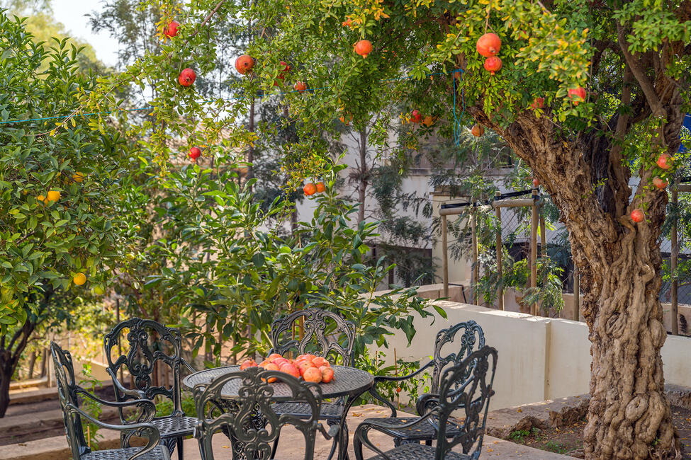 Wunderschöner Stadtpalast mit Pool und Hafenblick in Palma – Son Armadams