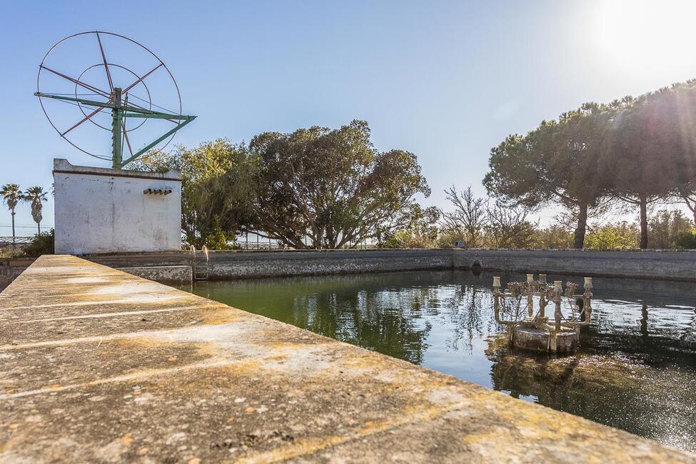 Fantastische Finca mit botanischem Garten in Ses Salines