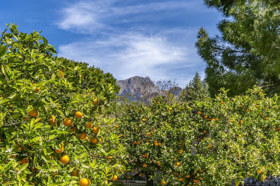 Charming finca with guest house and mountain views near Sóller
