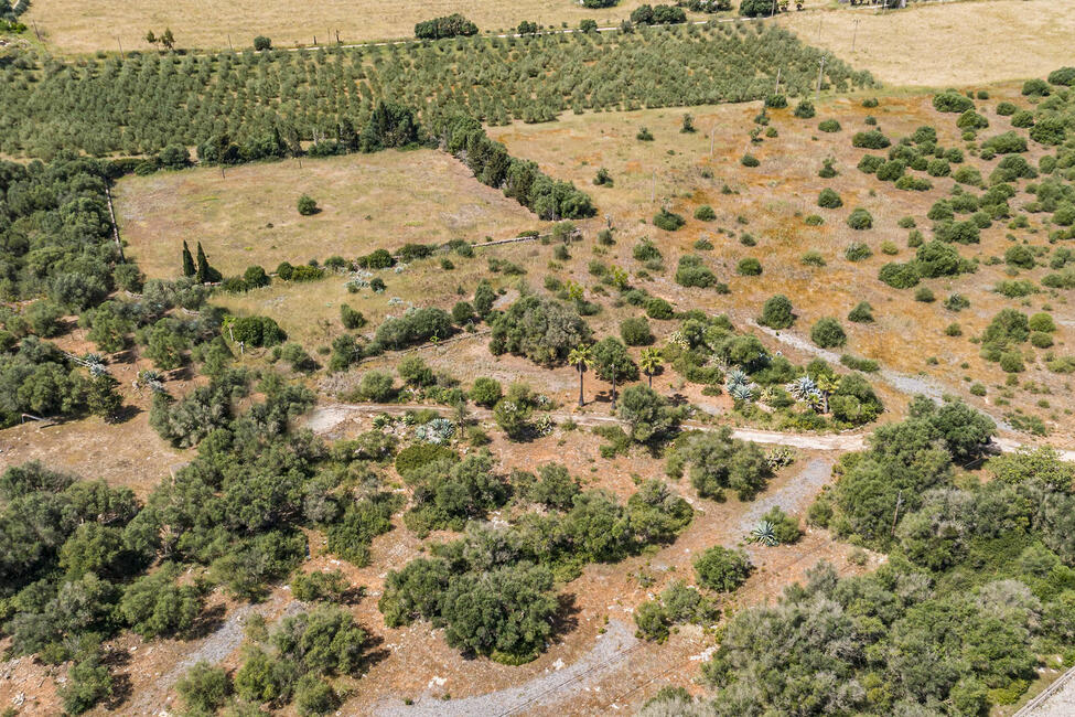 Riesiges rustikales Grundstück mit Bebauungsmöglichkeiten in Campos