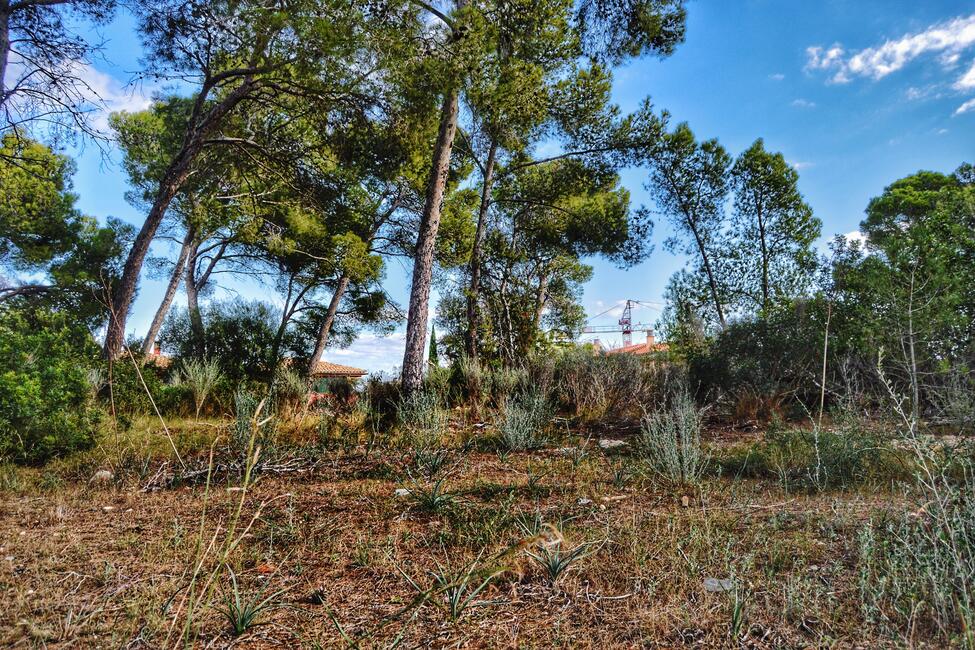 Terreno con proyecto, licencia y construcción en Cala Vinyas