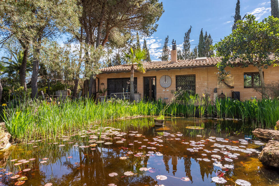 Finca de ensueño con 1,6 ha de terreno cerca de la playa de Es Trenc