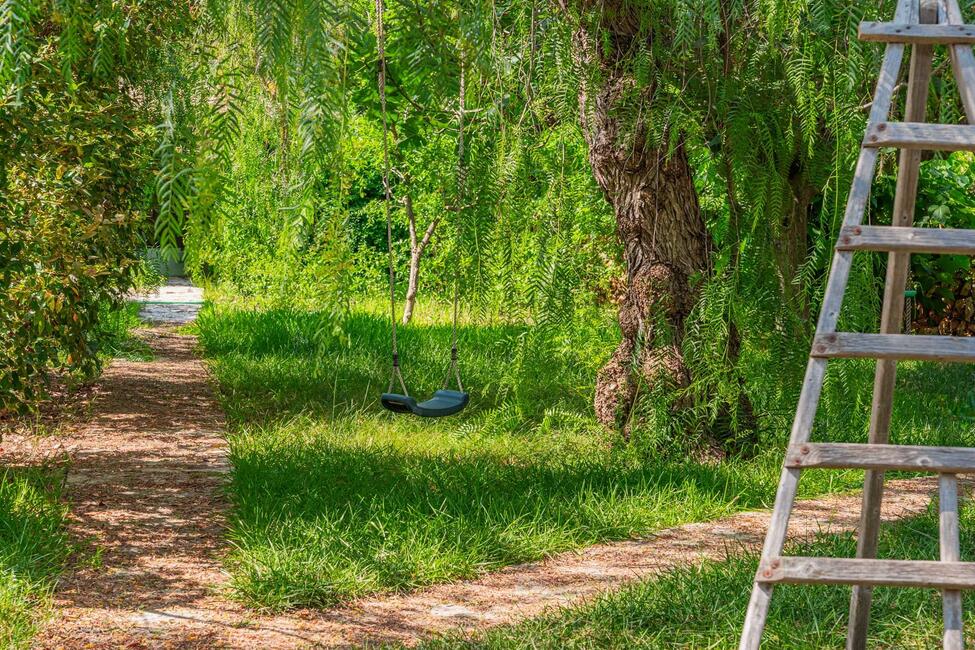 Renovierungsbedürftige Finca mit 9.6 ha Land in ruhiger Lage bei Alaro