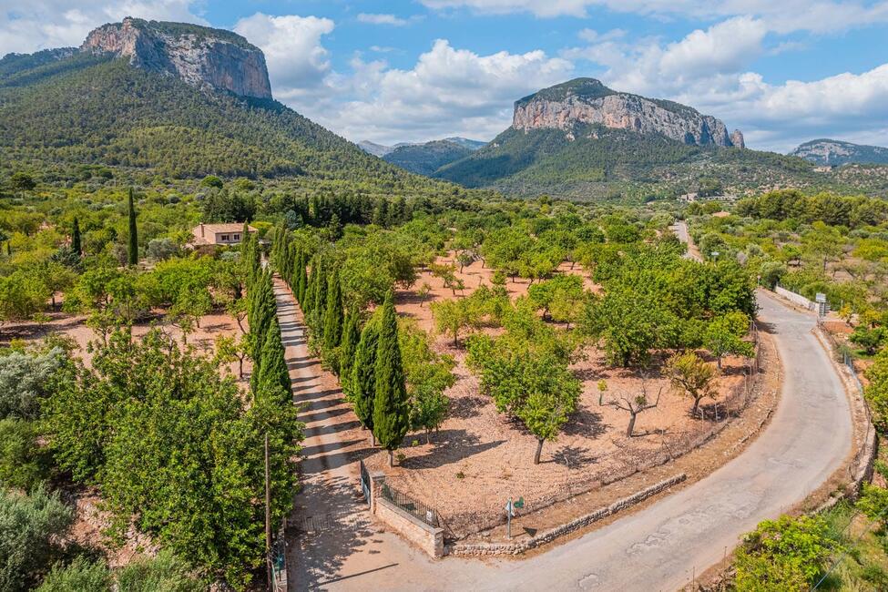 Renovierungsbedürftige Finca mit 9.6 ha Land in ruhiger Lage bei Alaro