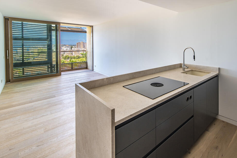 Neubau Duplex-Penthouse mit Dachterrasse und Pool in Palma