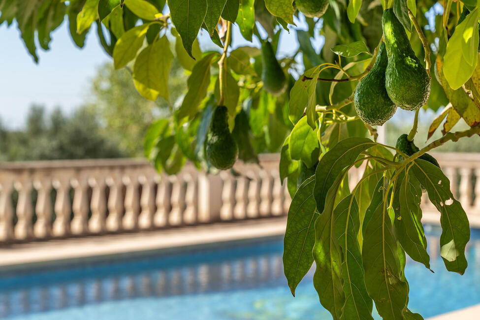 Mallorquinische Finca mit Pool und Weitblick auf die Berge in Marratxi
