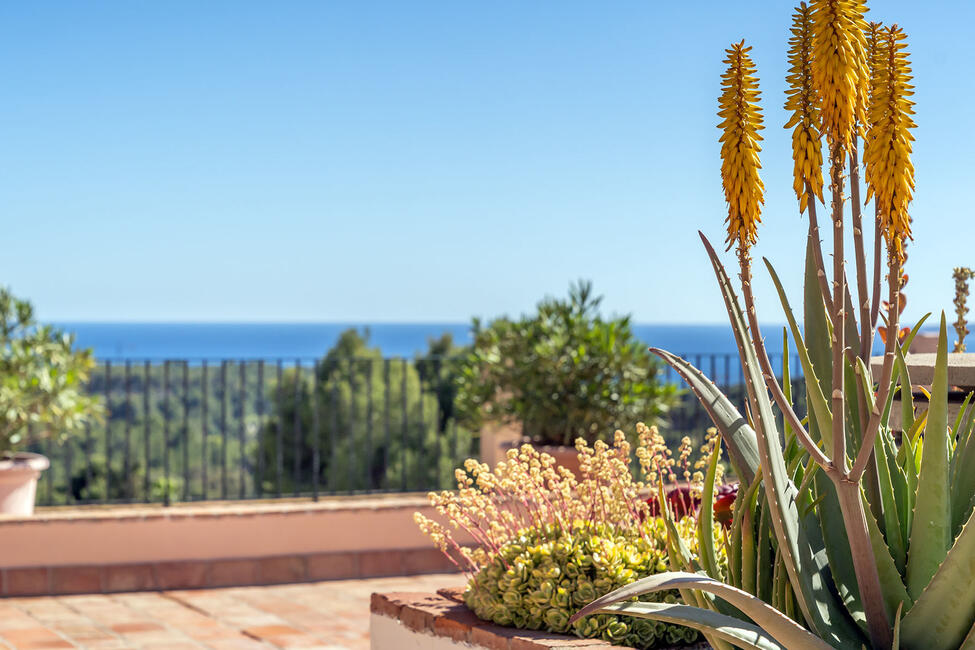 Fantástico ático con vistas al mar cerca del campo de golf en Bendinat