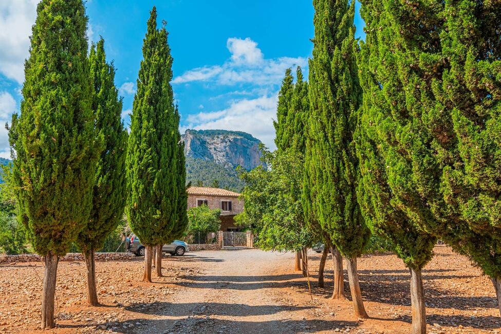 Renovierungsbedürftige Finca mit 9.6 ha Land in ruhiger Lage bei Alaro