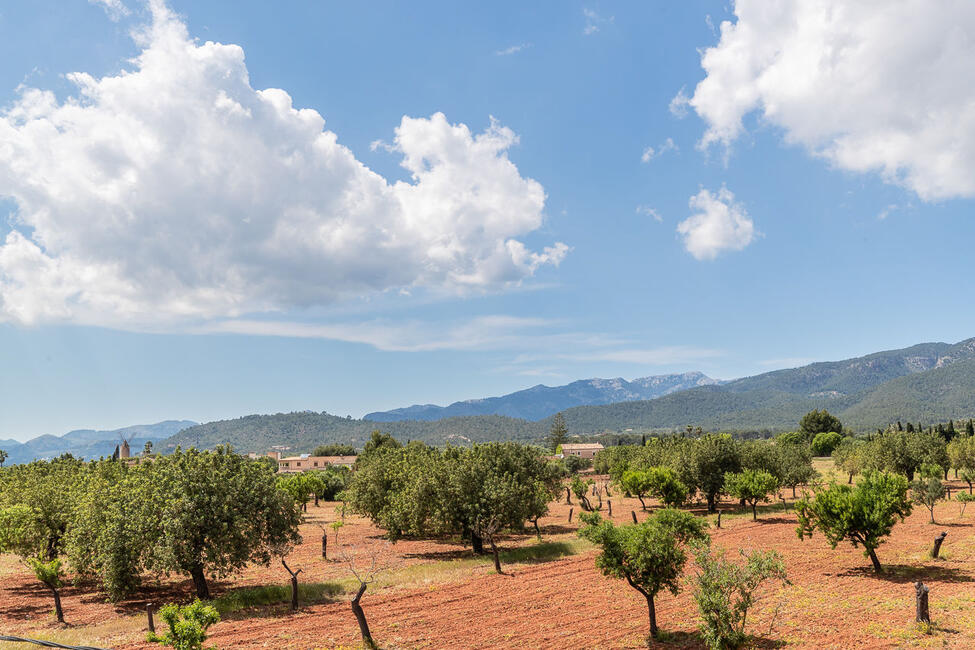 Renovated finca with salt water pool in Santa Maria del Cami