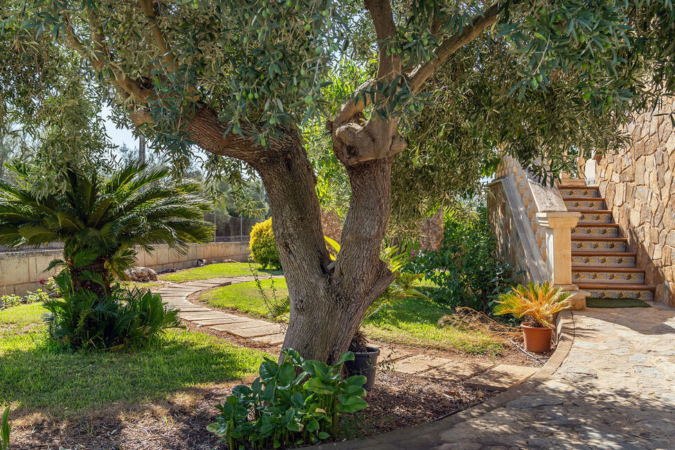 Mallorquinische Finca mit Pool und Weitblick auf die Berge in Marratxi